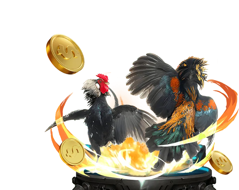 Hình ảnh tổng quan về nền tảng five 88